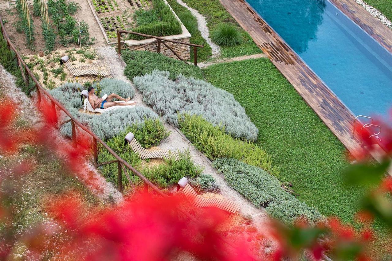 Dionisia'S Home, Pool, Spa On Monviso Unesco Alps Verzuolo Bagian luar foto