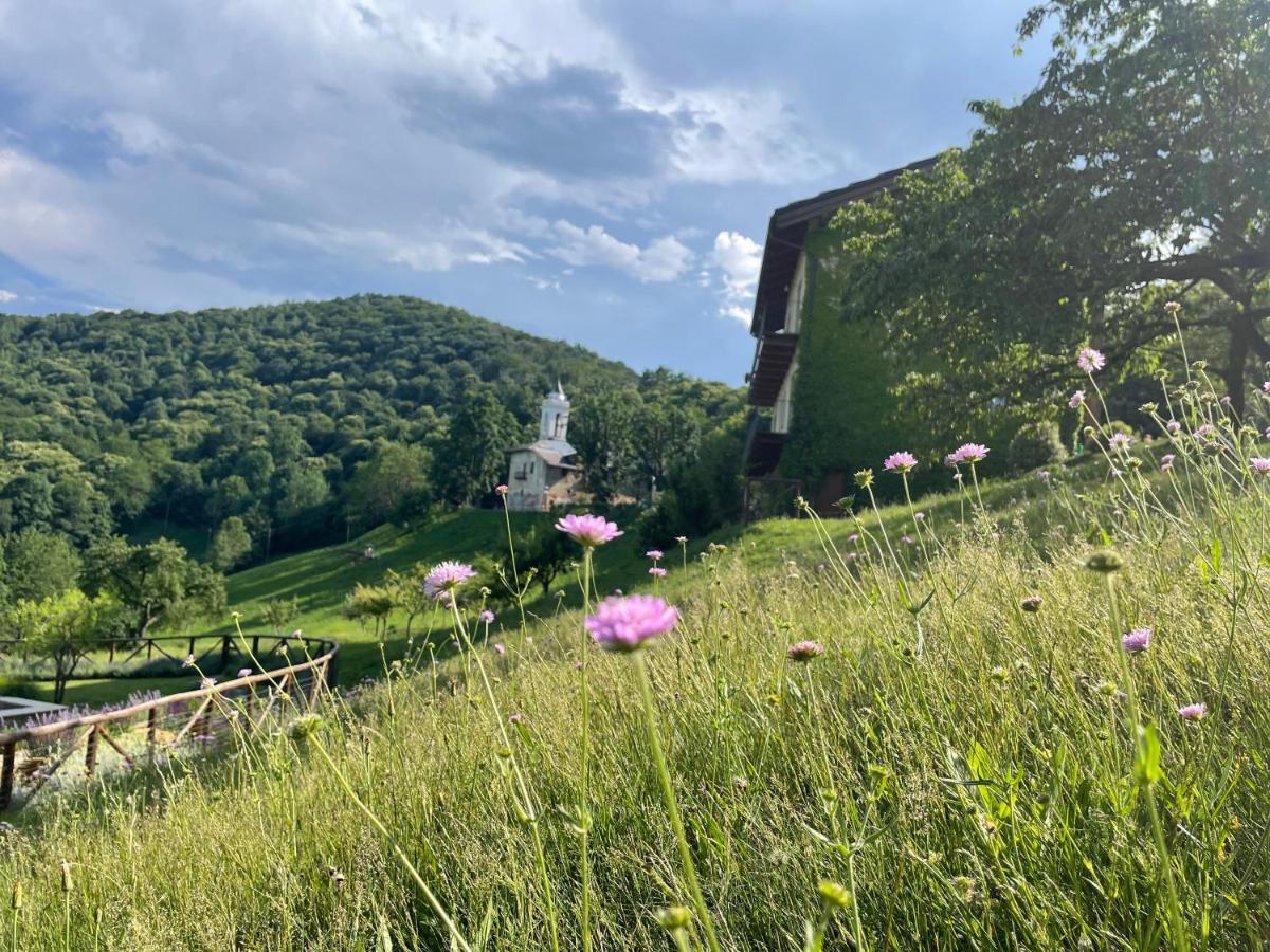 Dionisia'S Home, Pool, Spa On Monviso Unesco Alps Verzuolo Bagian luar foto